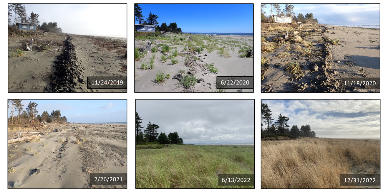 collage of photos of North Cove beach documenting changes from 2019 through 2022